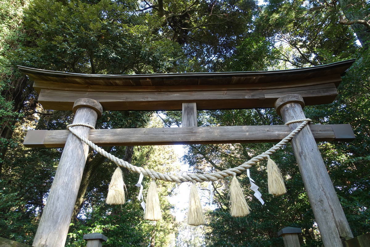 f:id:kojikint70:20210128164508j:plain