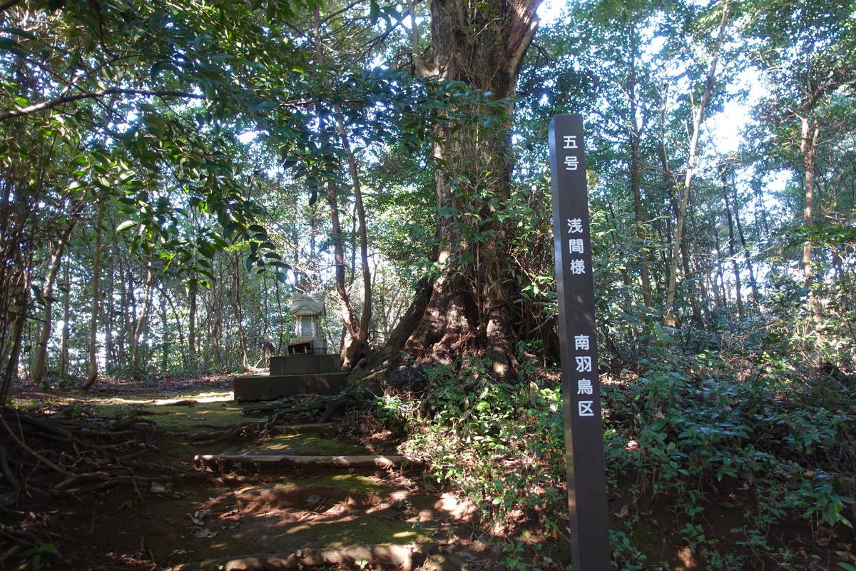 f:id:kojikint70:20210128221833j:plain