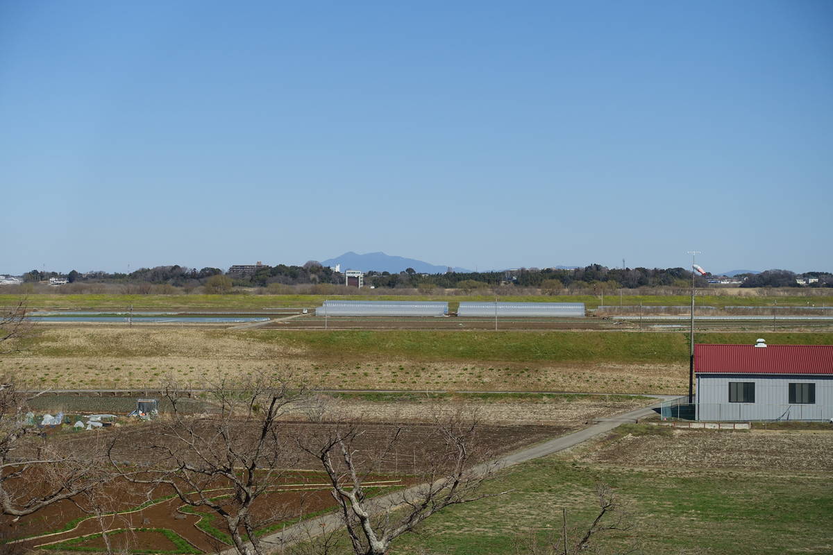 f:id:kojikint70:20210304191753j:plain