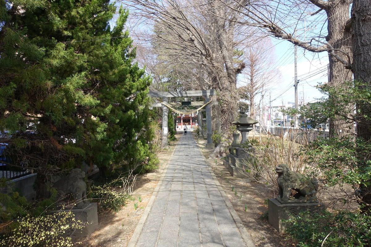 f:id:kojikint70:20210310162948j:plain