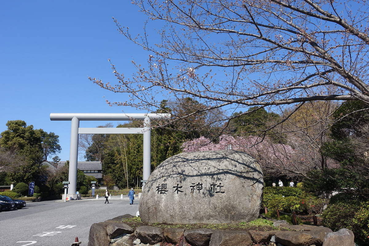f:id:kojikint70:20210324170250j:plain