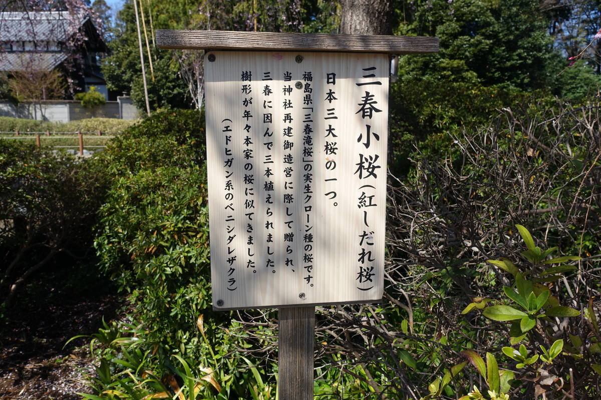 f:id:kojikint70:20210324192135j:plain