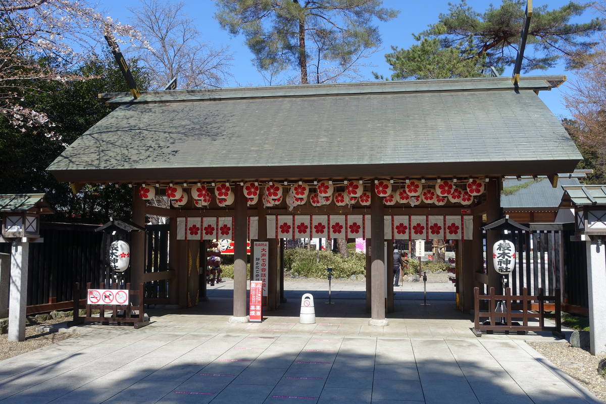 f:id:kojikint70:20210324205120j:plain