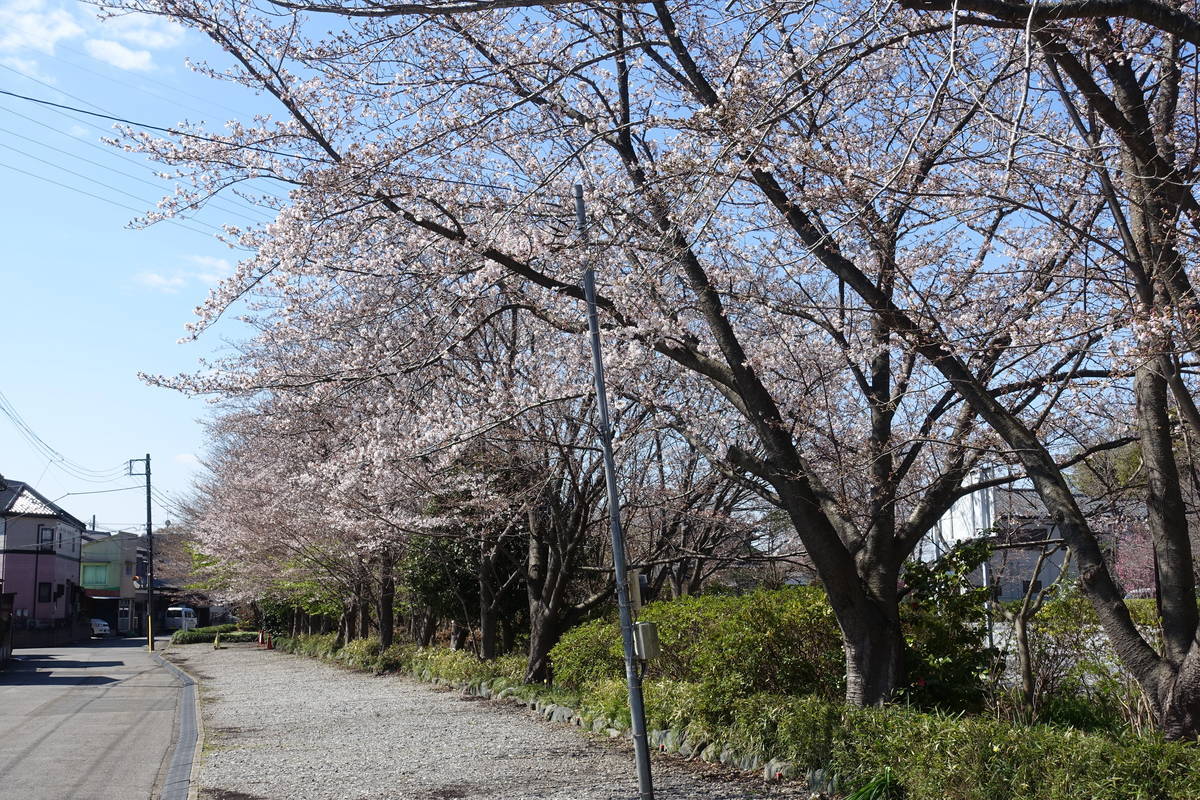 f:id:kojikint70:20210324211323j:plain