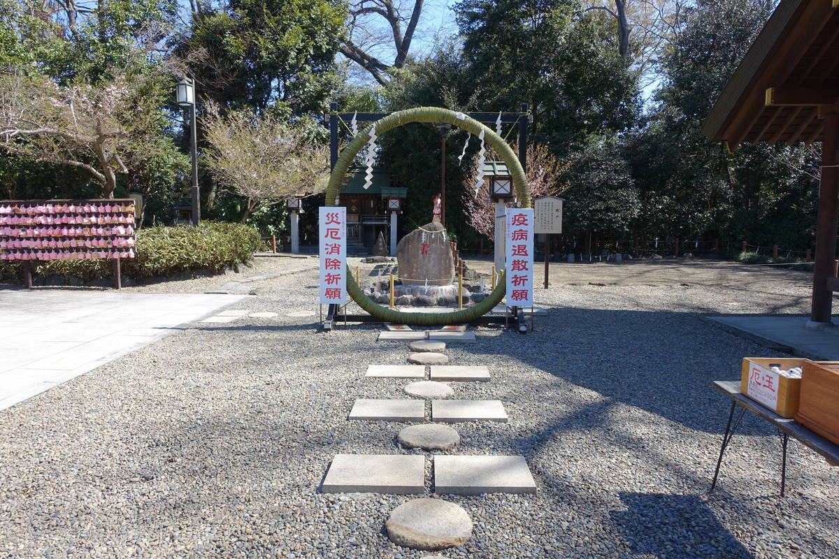 f:id:kojikint70:20210325055311j:plain