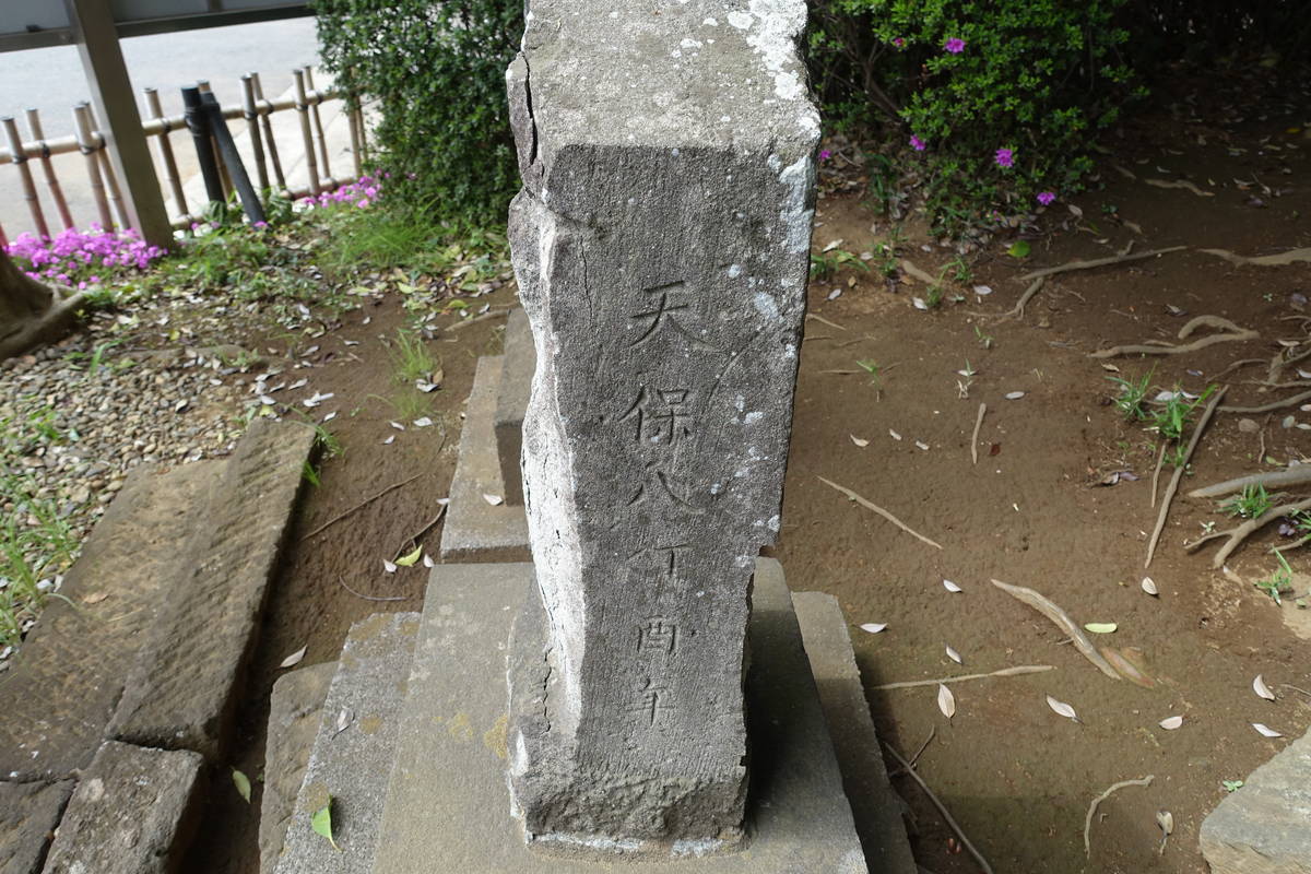 f:id:kojikint70:20210402213551j:plain