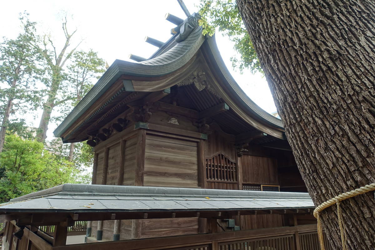 f:id:kojikint70:20210408083713j:plain