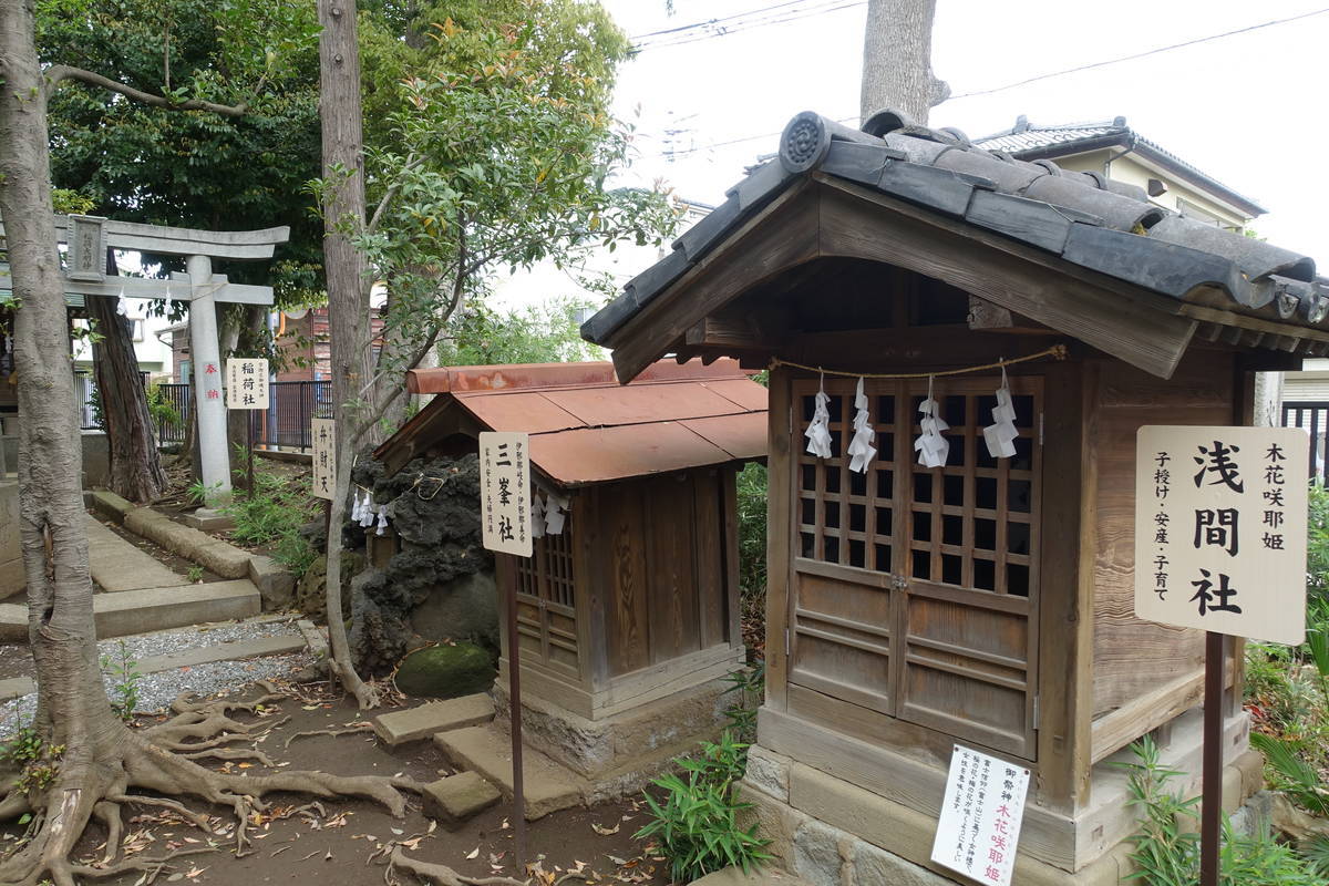 f:id:kojikint70:20210408092523j:plain