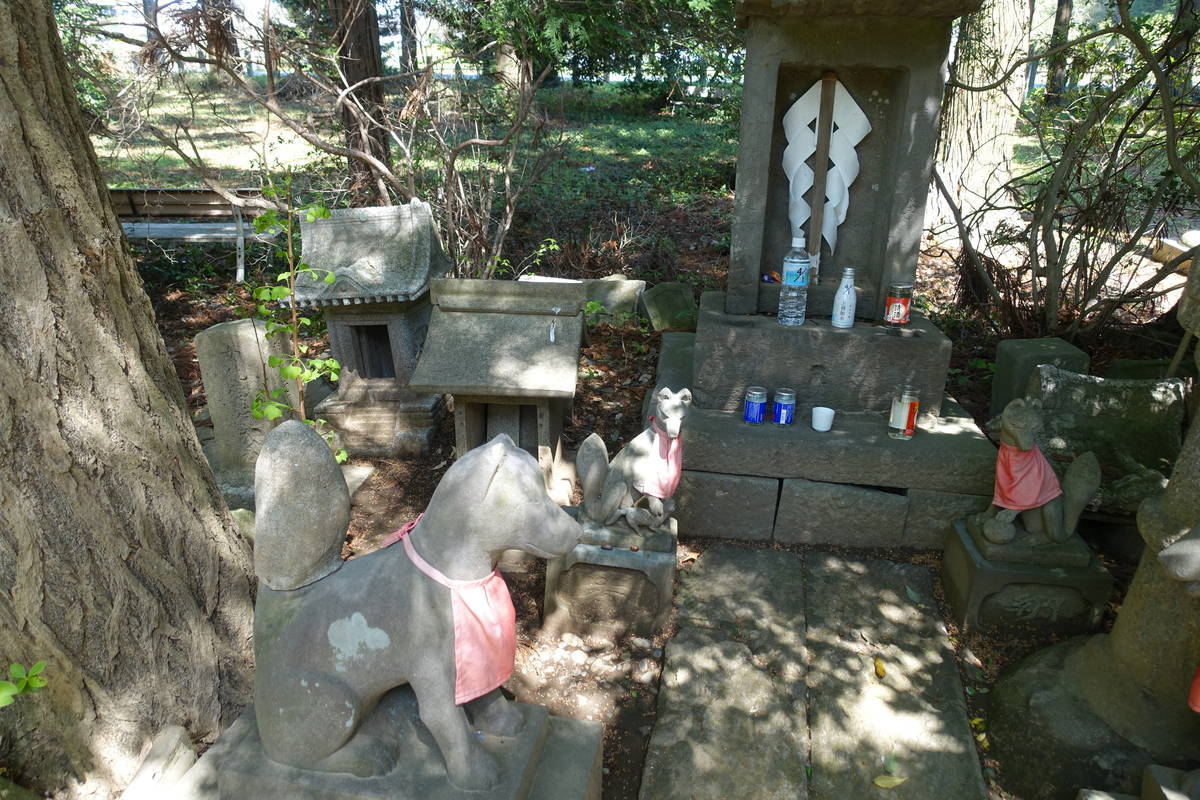 f:id:kojikint70:20210409211345j:plain