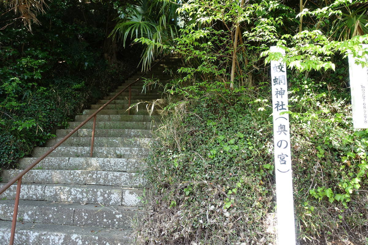f:id:kojikint70:20210416071331j:plain