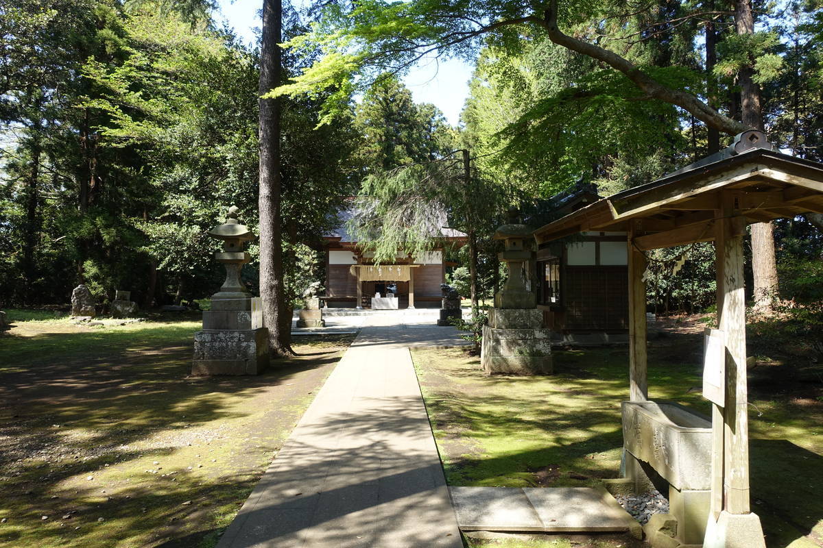 f:id:kojikint70:20210416072413j:plain