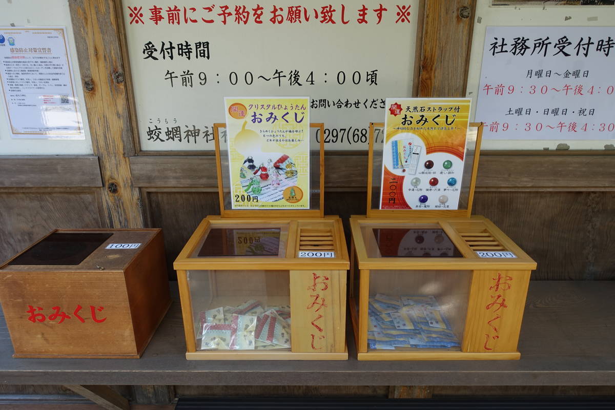 f:id:kojikint70:20210416084404j:plain