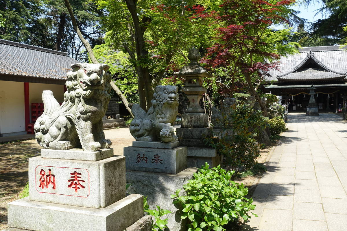 f:id:kojikint70:20210421174942j:plain