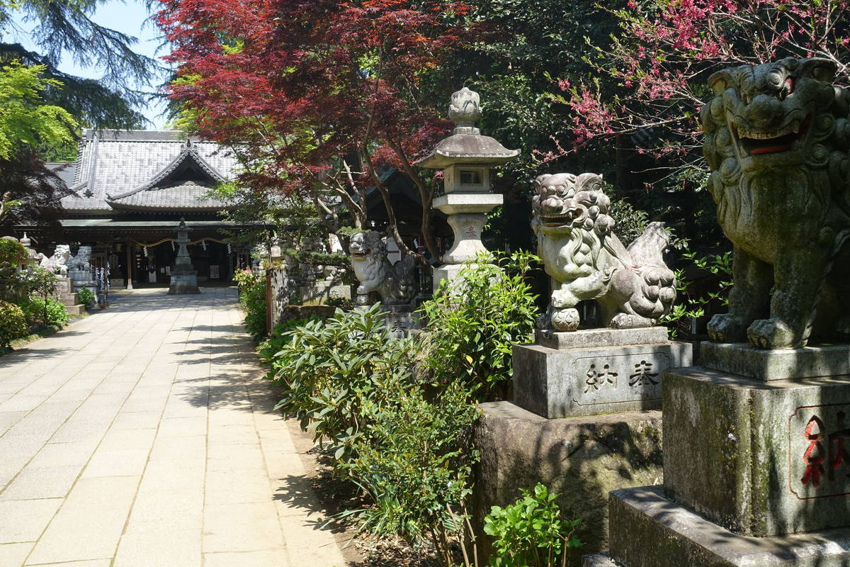 f:id:kojikint70:20210421175025j:plain