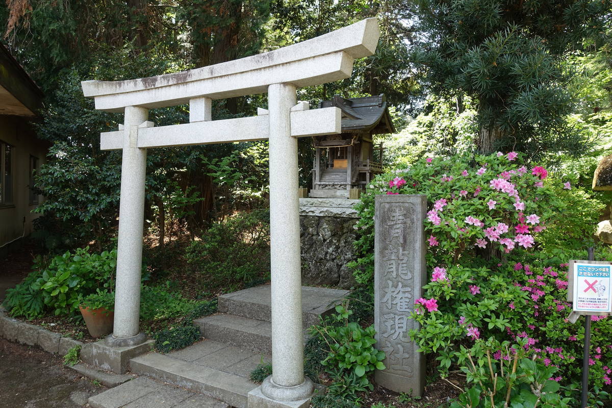 f:id:kojikint70:20210422132312j:plain