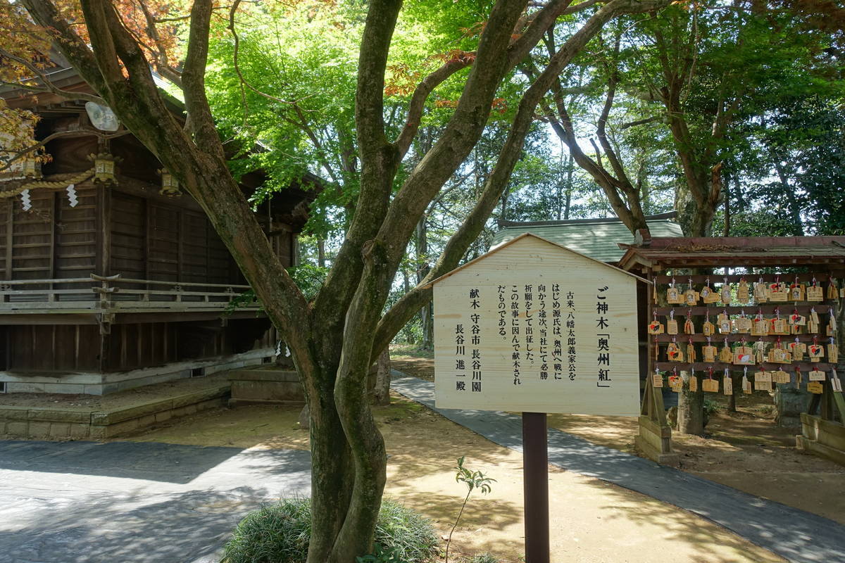 f:id:kojikint70:20210422135043j:plain