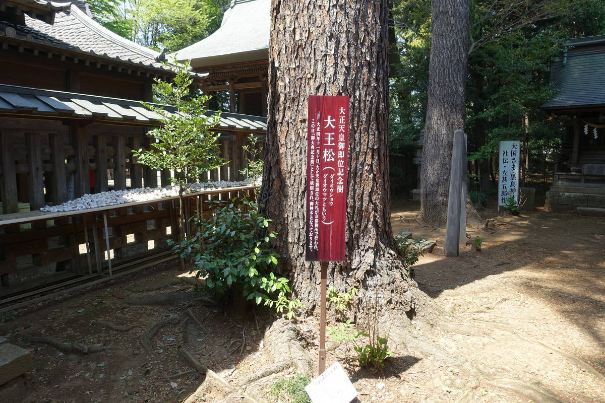 f:id:kojikint70:20210422144317j:plain