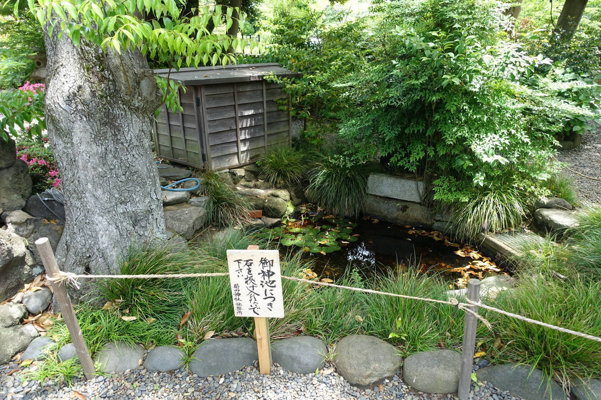 f:id:kojikint70:20210515145255j:plain