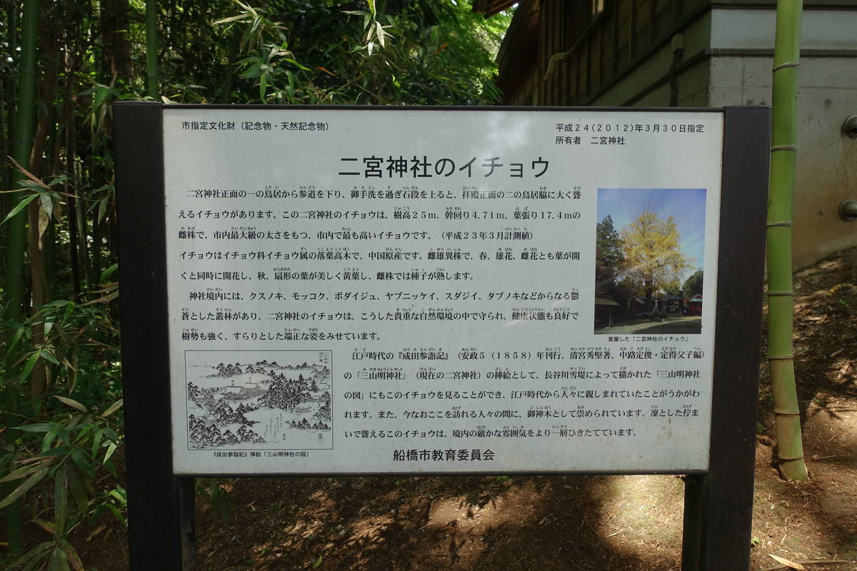 f:id:kojikint70:20210526172620j:plain