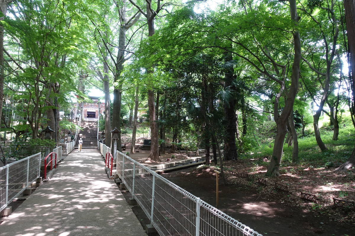 f:id:kojikint70:20210526203058j:plain