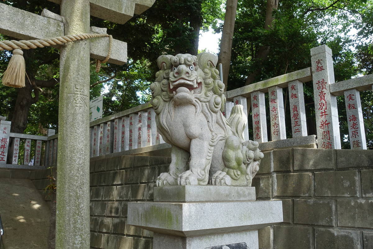 f:id:kojikint70:20210604164409j:plain