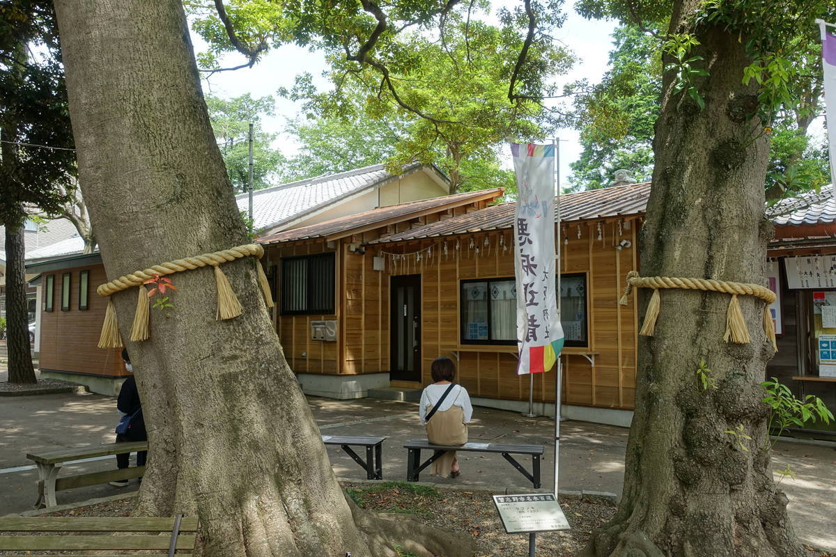 f:id:kojikint70:20210605070620j:plain