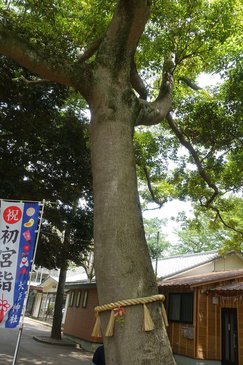 f:id:kojikint70:20210605070657j:plain