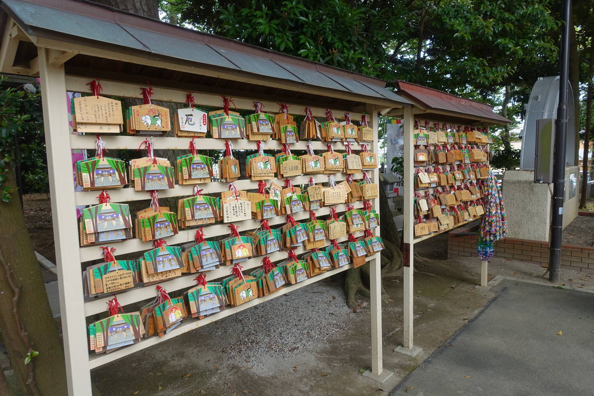 f:id:kojikint70:20210605070921j:plain