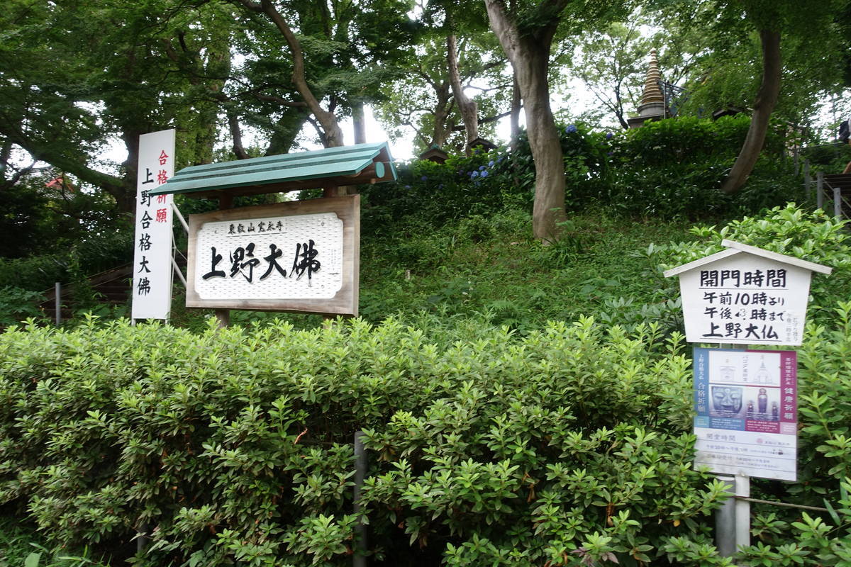 f:id:kojikint70:20210629180237j:plain