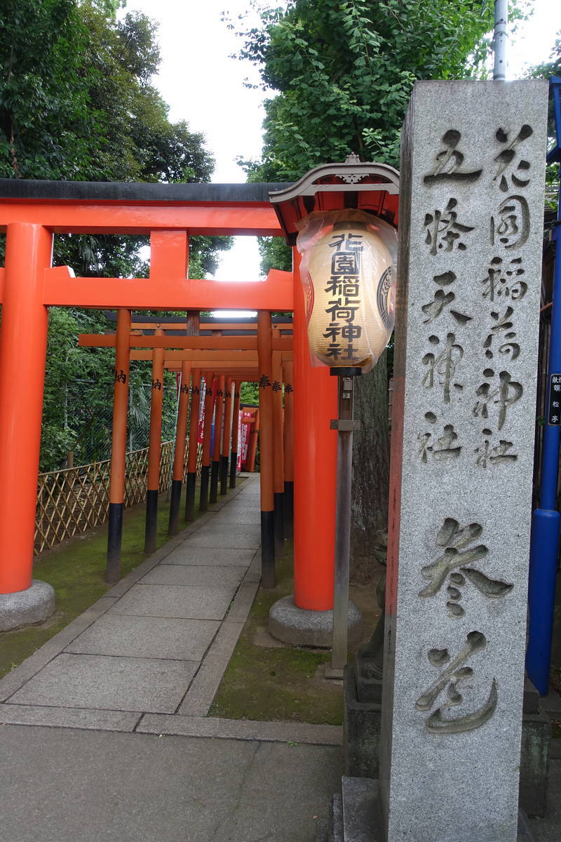 f:id:kojikint70:20210705104940j:plain