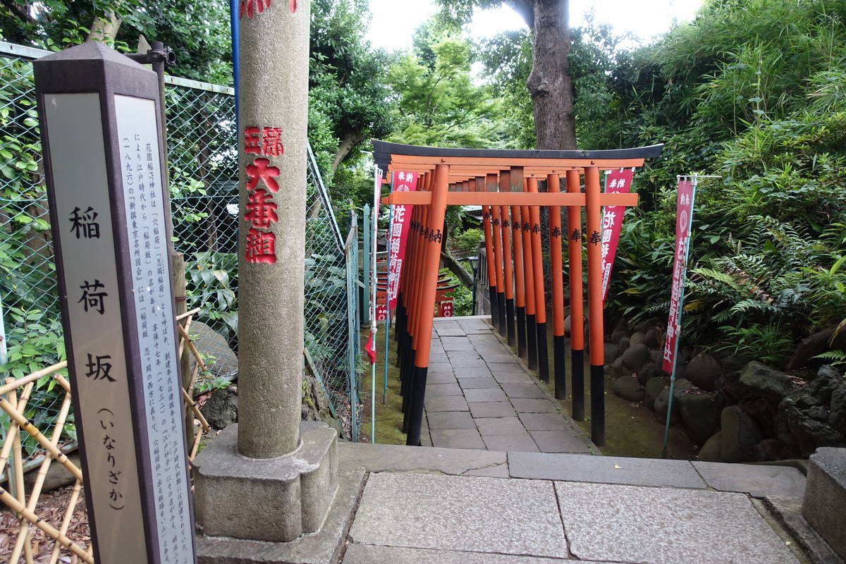 f:id:kojikint70:20210705105351j:plain