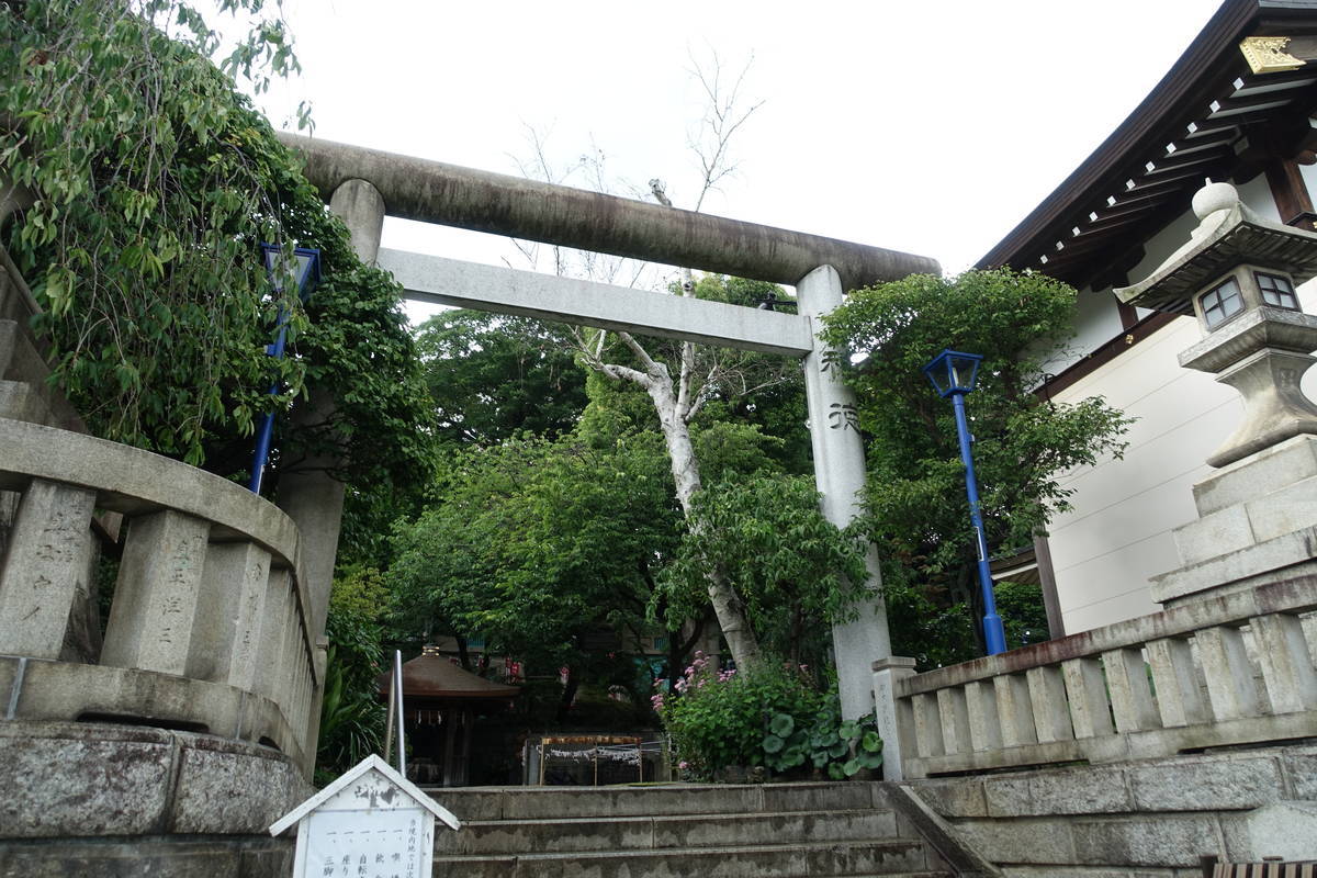 f:id:kojikint70:20210705164038j:plain