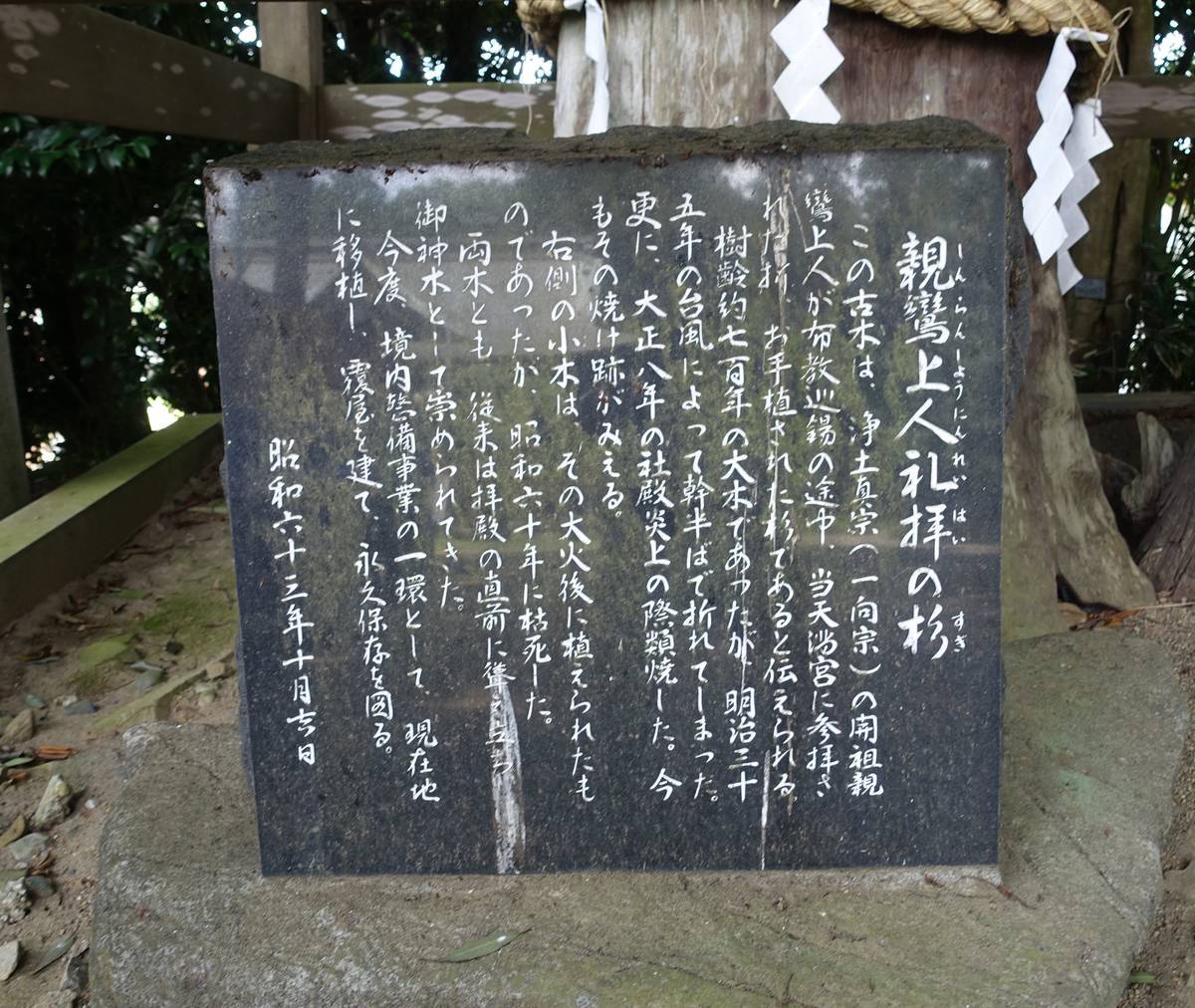 f:id:kojikint70:20210718073140j:plain