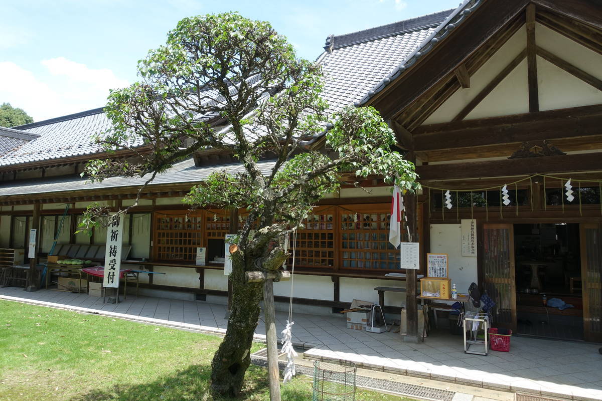 f:id:kojikint70:20210718073237j:plain