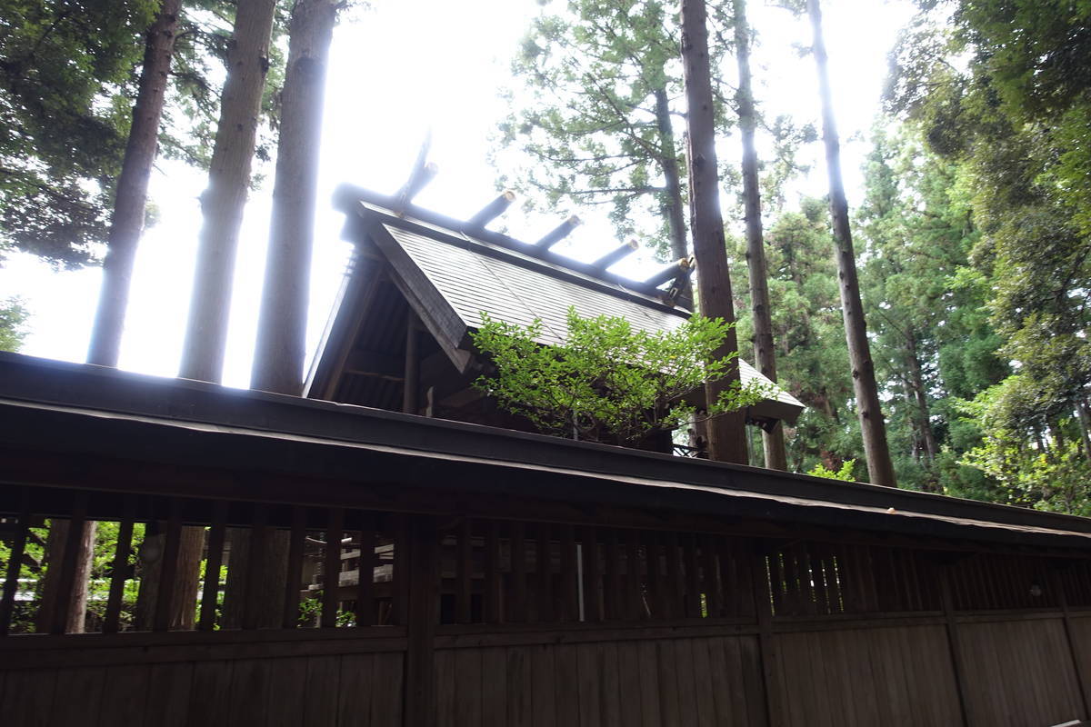 f:id:kojikint70:20210915171242j:plain