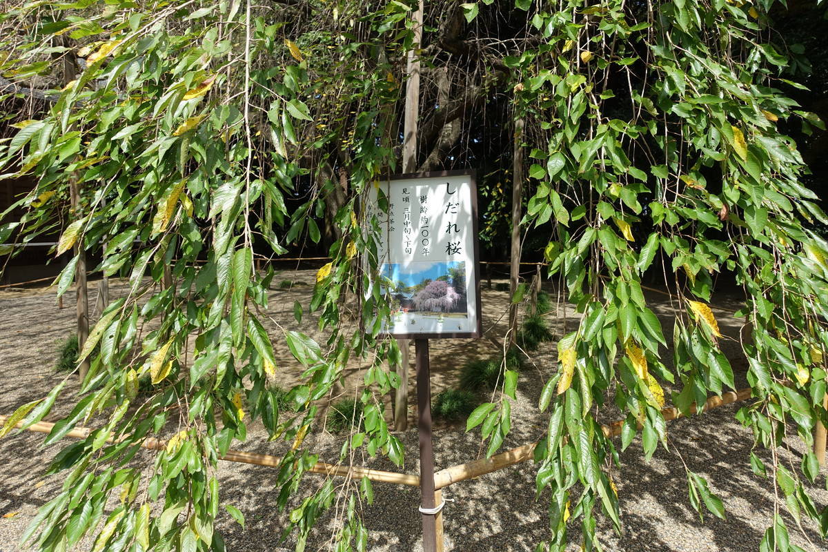 f:id:kojikint70:20210915192337j:plain