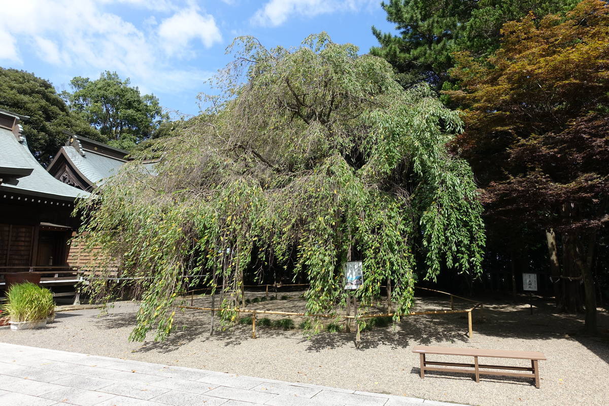 f:id:kojikint70:20210915192359j:plain