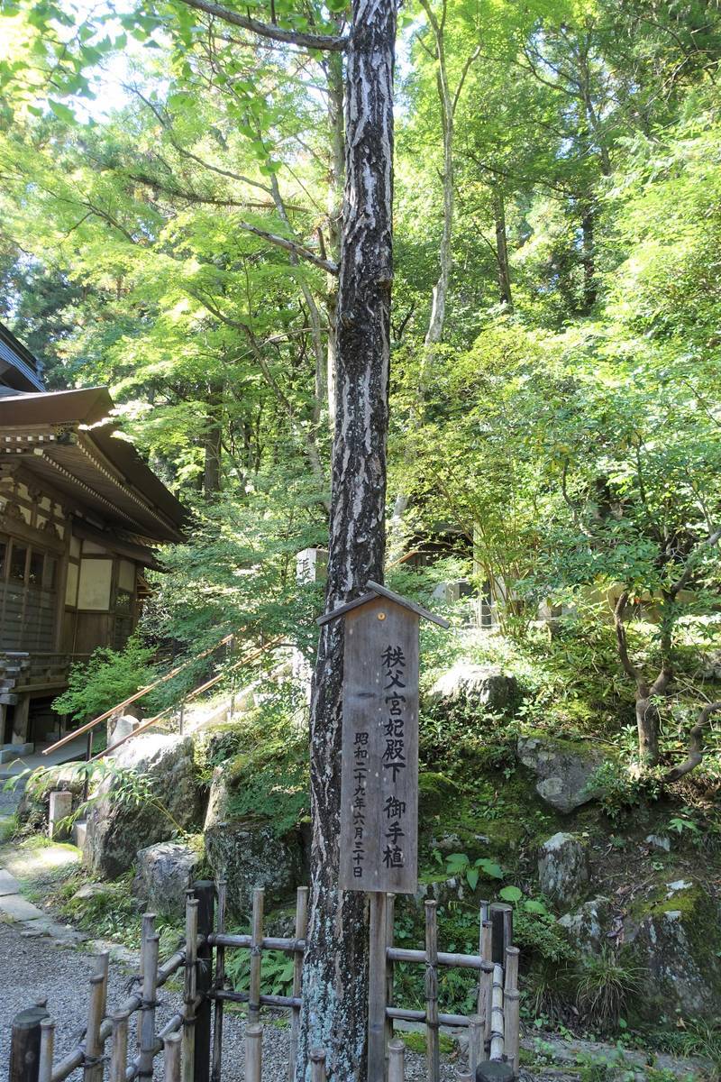 f:id:kojikint70:20211006223003j:plain