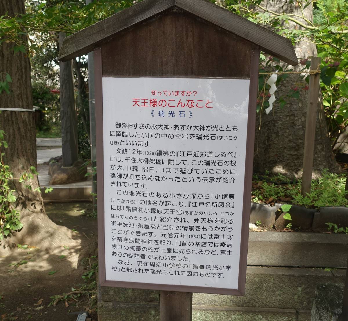 f:id:kojikint70:20211024093525j:plain