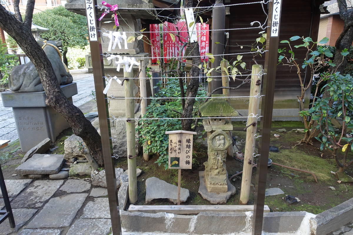 f:id:kojikint70:20211103183226j:plain