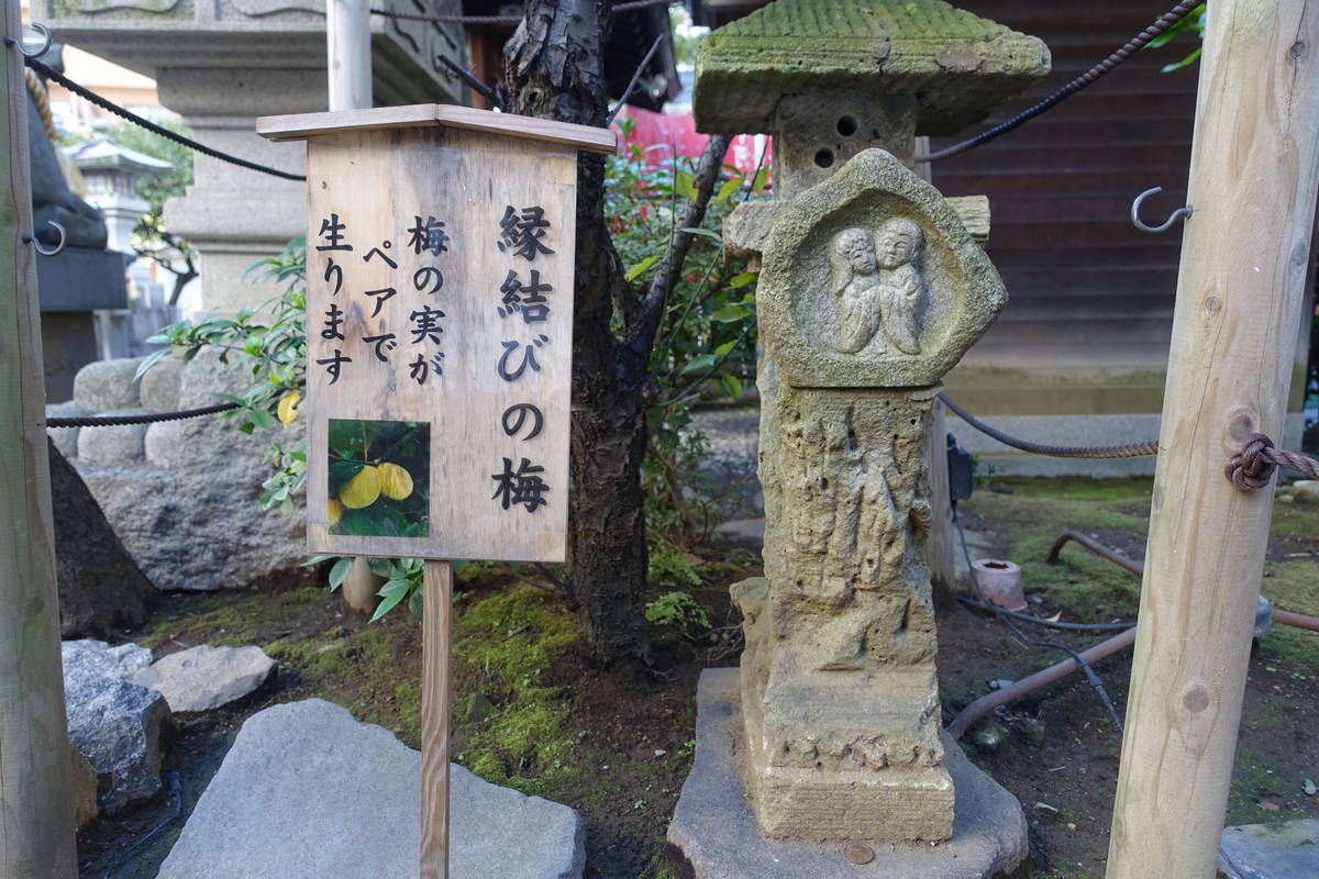 f:id:kojikint70:20211103183300j:plain