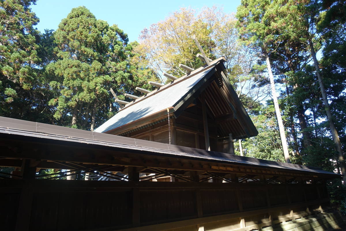 f:id:kojikint70:20211113212146j:plain