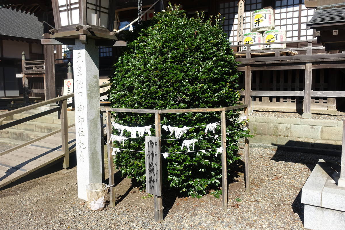 f:id:kojikint70:20211113214122j:plain