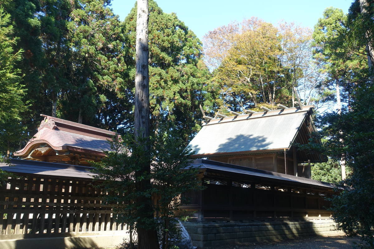 f:id:kojikint70:20211113214741j:plain