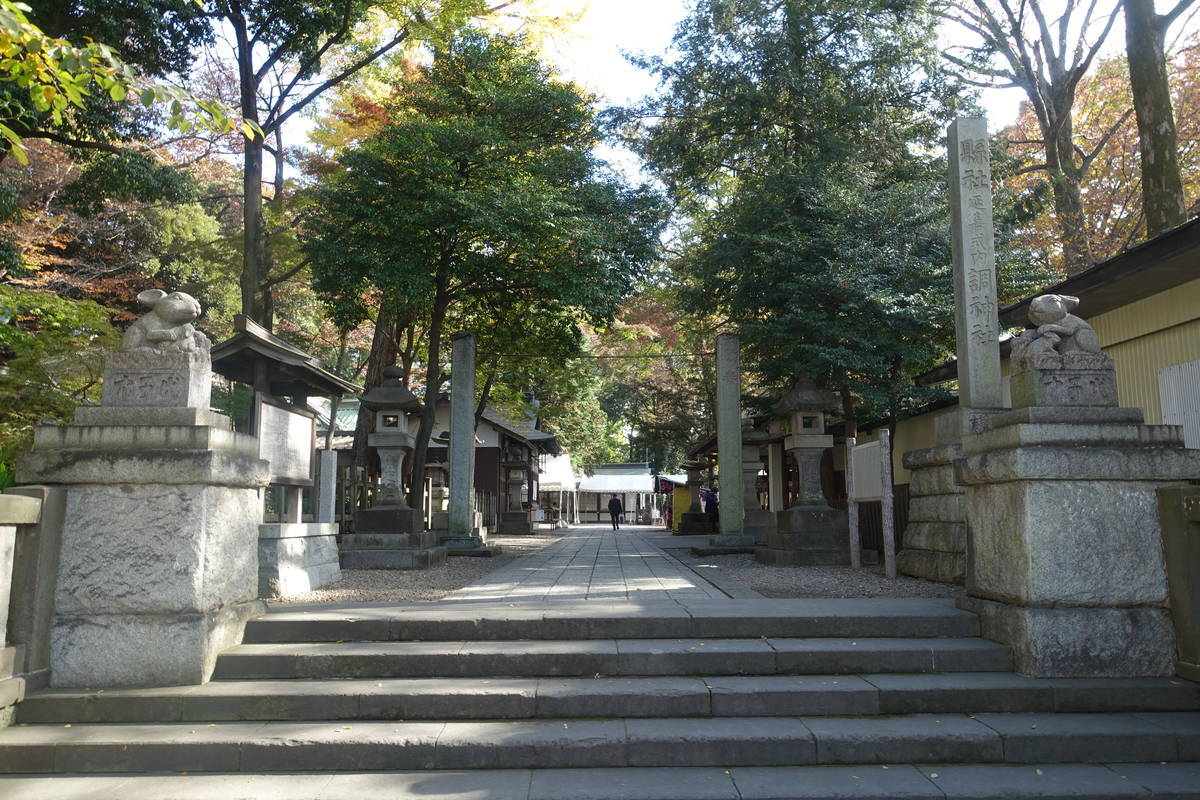 f:id:kojikint70:20211121175615j:plain