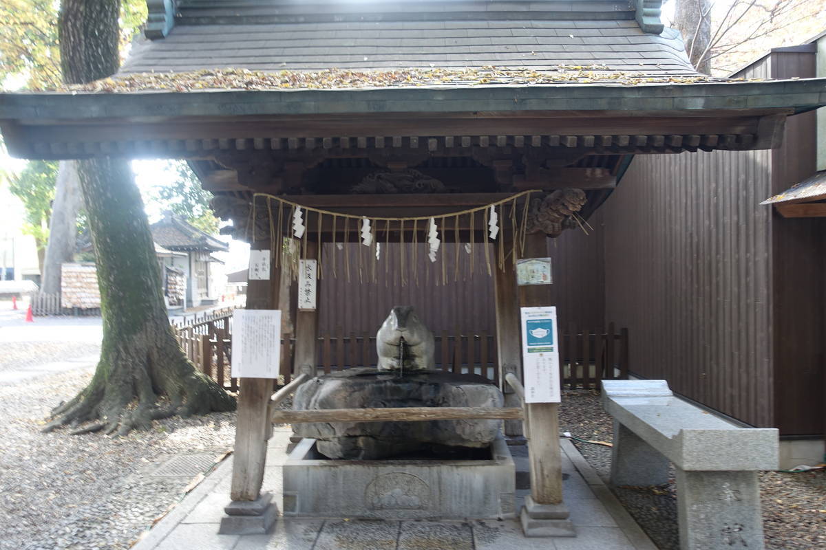 f:id:kojikint70:20211121194014j:plain