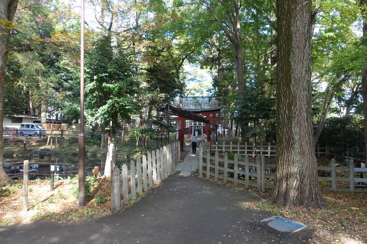 f:id:kojikint70:20211121202532j:plain