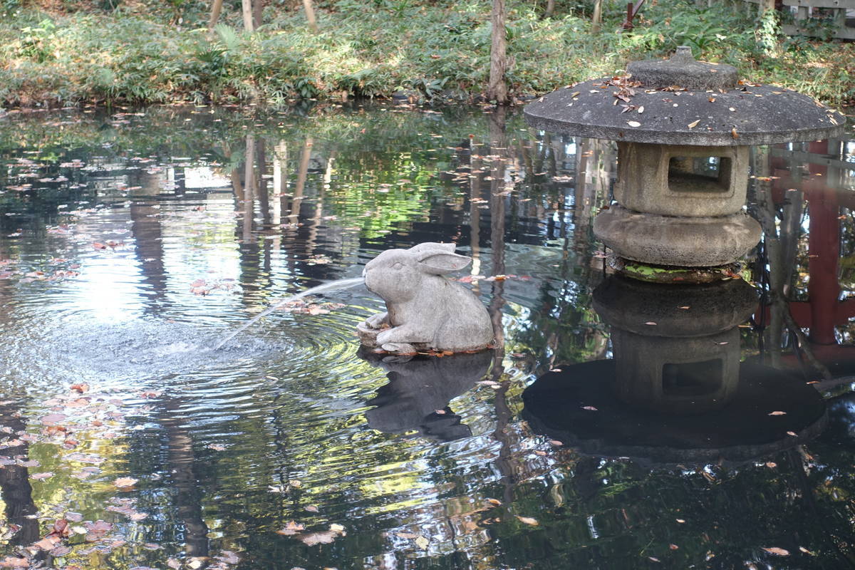 f:id:kojikint70:20211121203341j:plain