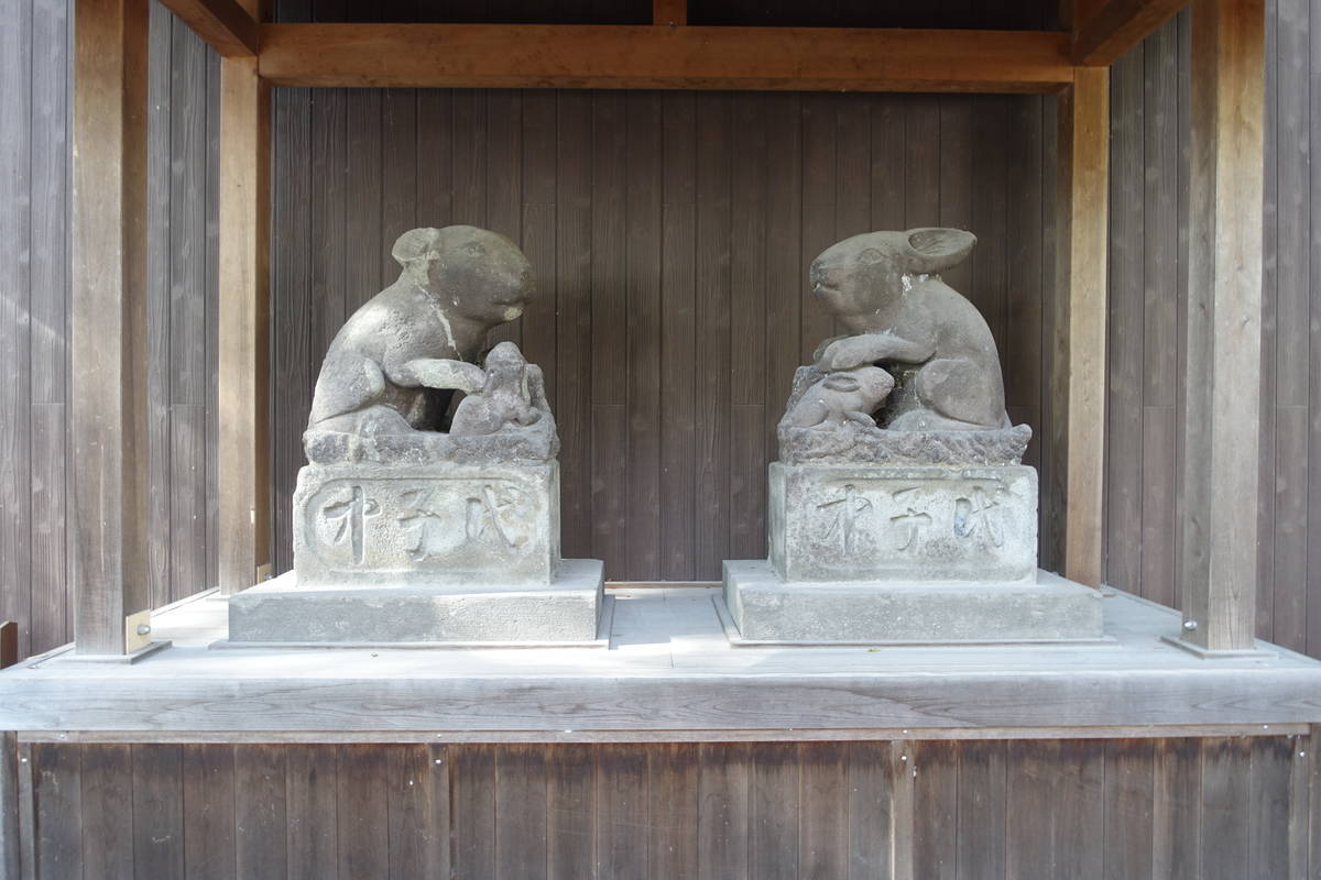 f:id:kojikint70:20211121203801j:plain