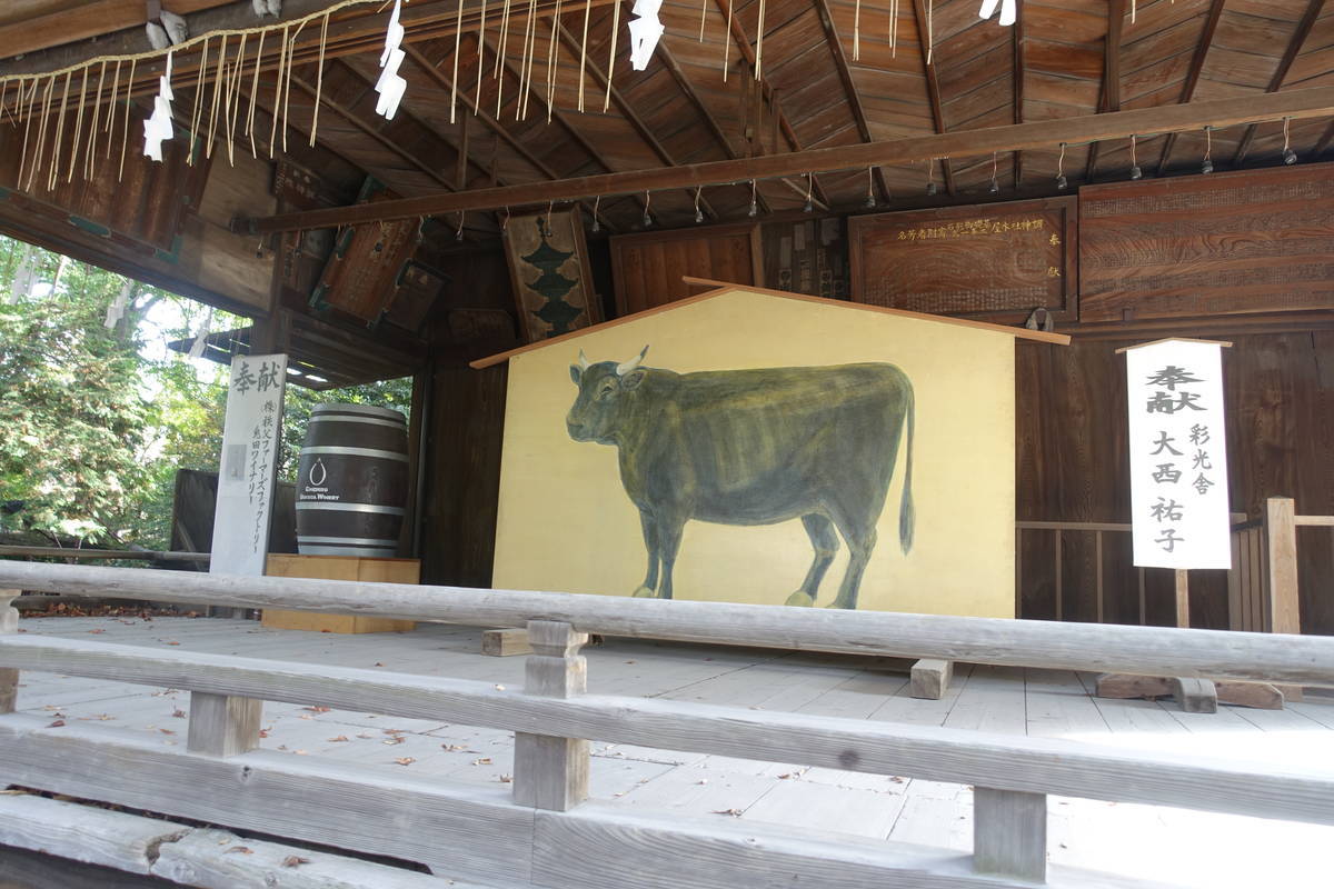 f:id:kojikint70:20211121204247j:plain